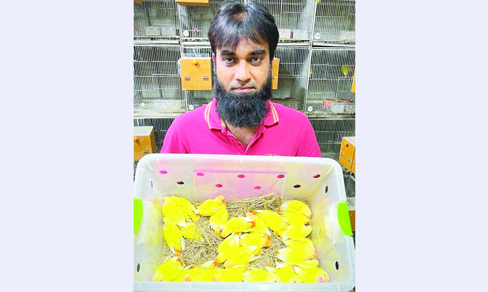 Жалаңаш минет бейне